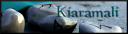 Kiaramalisigrunes12a.png