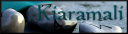 Kiaramalisigrunes12b.png