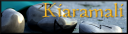 Kiaramalisigrunes12c.png