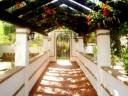 Lover's Walk.jpg