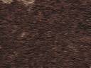 brown2.jpg