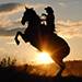 Horseback Riding 3.jpg