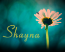 Shayna.png