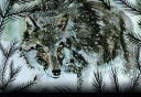 Wolf1.png