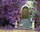 Magic Door Amongst Purple Leaves (1).jpg