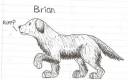 Brian1.jpg