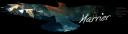 SIG3.png