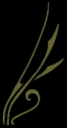 Tattoo_Designs_III_by_SuperDecimal.png