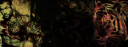 posttemptigers.png