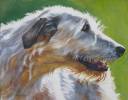 irish wolfhound painting beauty by l a shepard.jpg