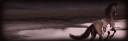 Desert Horse Banner.jpg