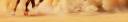 Desert Horse Bottom Banner 2.jpg