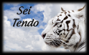 tigercode1.png