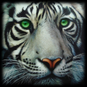 tigercode3.png