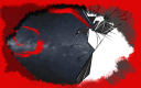 BCV3.png