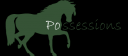 Possessions Title.png