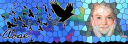2013-10-04 Aose Template Header.png