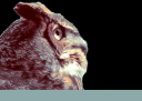 Syveris.png