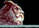 Syveris2.png