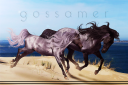 gossamer2.png
