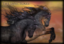Sanc.png