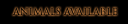 animals.png