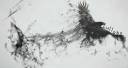LullabyBC-Crow.jpg