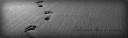 Little More Than a Memory - Shikoba.jpg