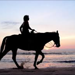 Horse Riding.png