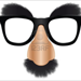 Disguise.png