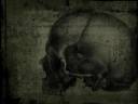 Green_Skull-Large Parchment.jpeg