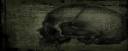 Green_Skull-Large Parchment.jpeg