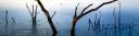 Banner2.jpg