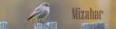 Banner3.jpg