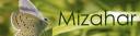 Banner4.jpg
