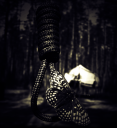 Untitled-1.png
