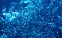 bubbles.jpg