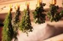 herbs.jpg