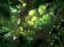 jungle.jpg