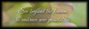 trans2bottom.png