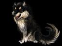 Husky2.png
