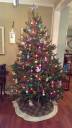 xmas tree.jpg