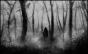 dark_forest_by_narcotic_nightmares-d6g6fgr - Copy.png