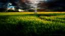 Grass_Field.jpg