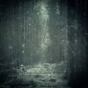 snow_falling_by_sternenfern-d4t8n4y.jpg