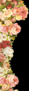 roseborder.png
