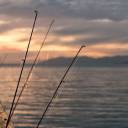Glass Beach Fishing.jpg