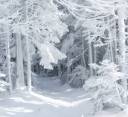 blizzard_traces-wallpaper-800x600 (300x274).jpg