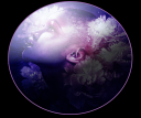 EmpyBox.png