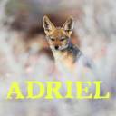 JackalAdriel-bicubic.jpg